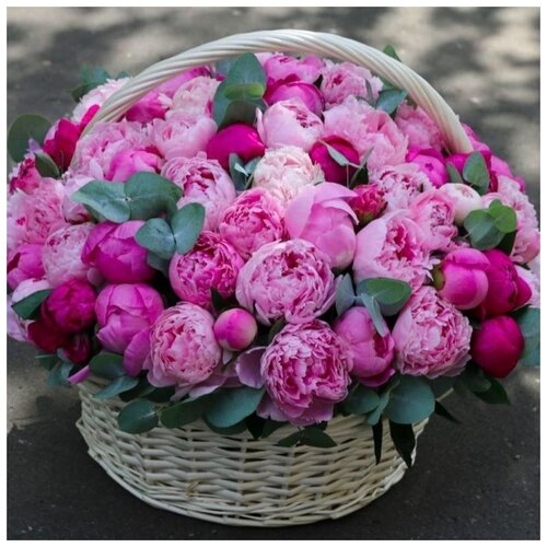 Букет Композиция 5 Цветов из 49 розовых пионов с эвкалиптом, в корзине