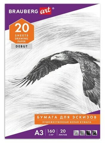 Папка для рисования большого формата А3, 20 л, 160 г/м2, BRAUBERG, 297х420 мм, "Орел", 125228