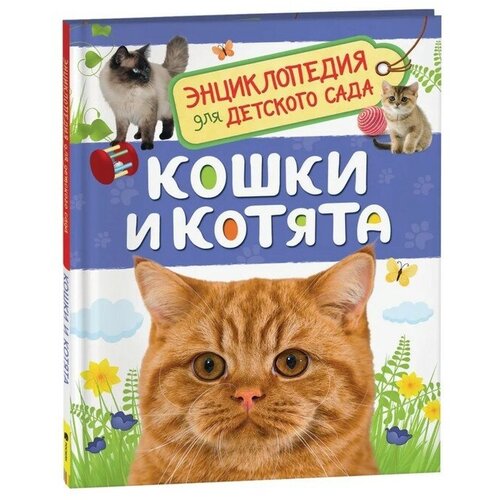 Энциклопедия для детского сада «Кошки и котята» детская энциклопедия кошки и котята