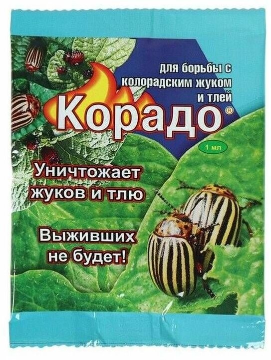 Инсектицид, Ваше хозяйство - Корадо, от колорадского жука, ампула 1мл, 1 шт.