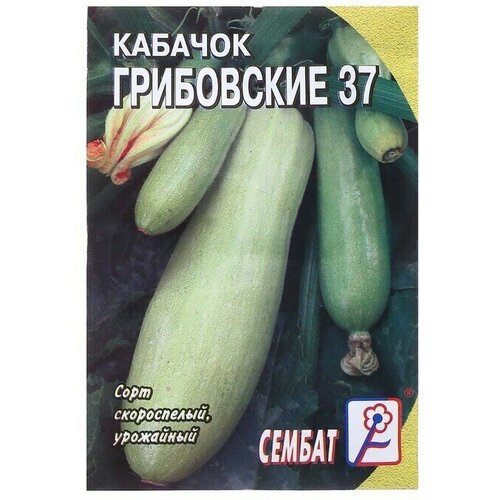 Семена Кабачок Грибовские 37, 2 г 22 упаковки семена кабачок грибовские 13