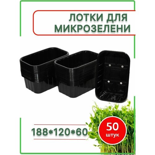 Лотки контейнеры для микрозелени 18х12х60