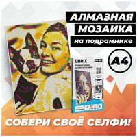 QBRIX Алмазная фотомозаика на подрамнике POP-ART A4