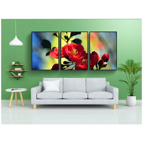 фото Набор модулных постеров для интерьера "цветущая айва, цветок, филиал" 60x90 см. в тубусе, без рамки lotsprints