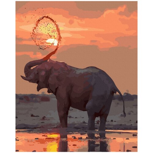 Картина по номерам с цветным холстом Molly 40х50 см Африканский слон (31 цвет)