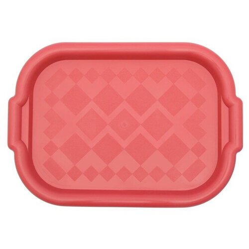 Поднос «Универсальный», 49,5×34,5 см, цвет микс