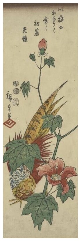 Репродукция на холсте Золотой фазан и гибискус (1797-1858) (Gold pheasant and hibiscus) Утагава Хиросигэ 30см. x 93см.