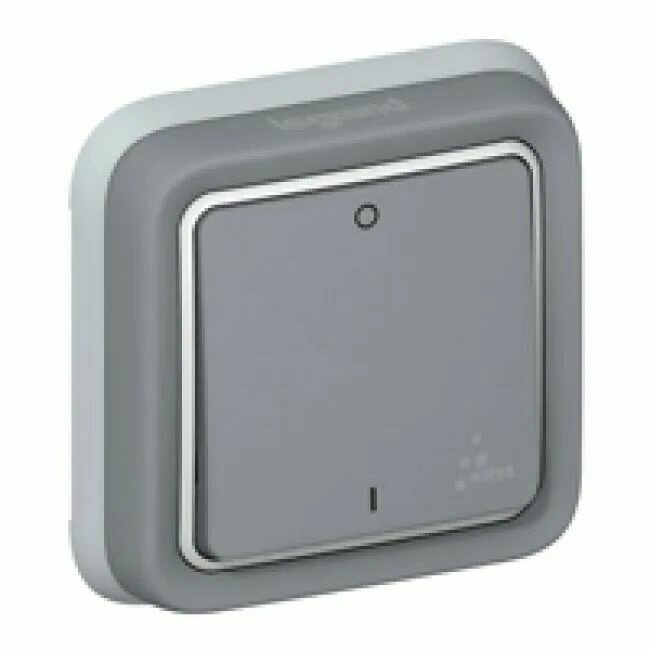 Plexo 069530 Выключатель одноклавишный двухполюсный (10 А, IP55, под рамку, скрытая установка, серый) Legrand - фото №4
