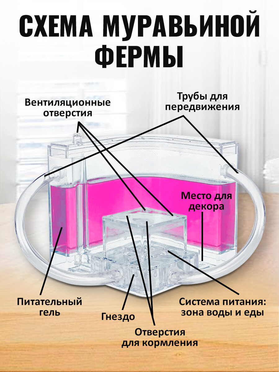 Муравьиная ферма, размер 12 см x 12 см x 12 см, домик для муравьев