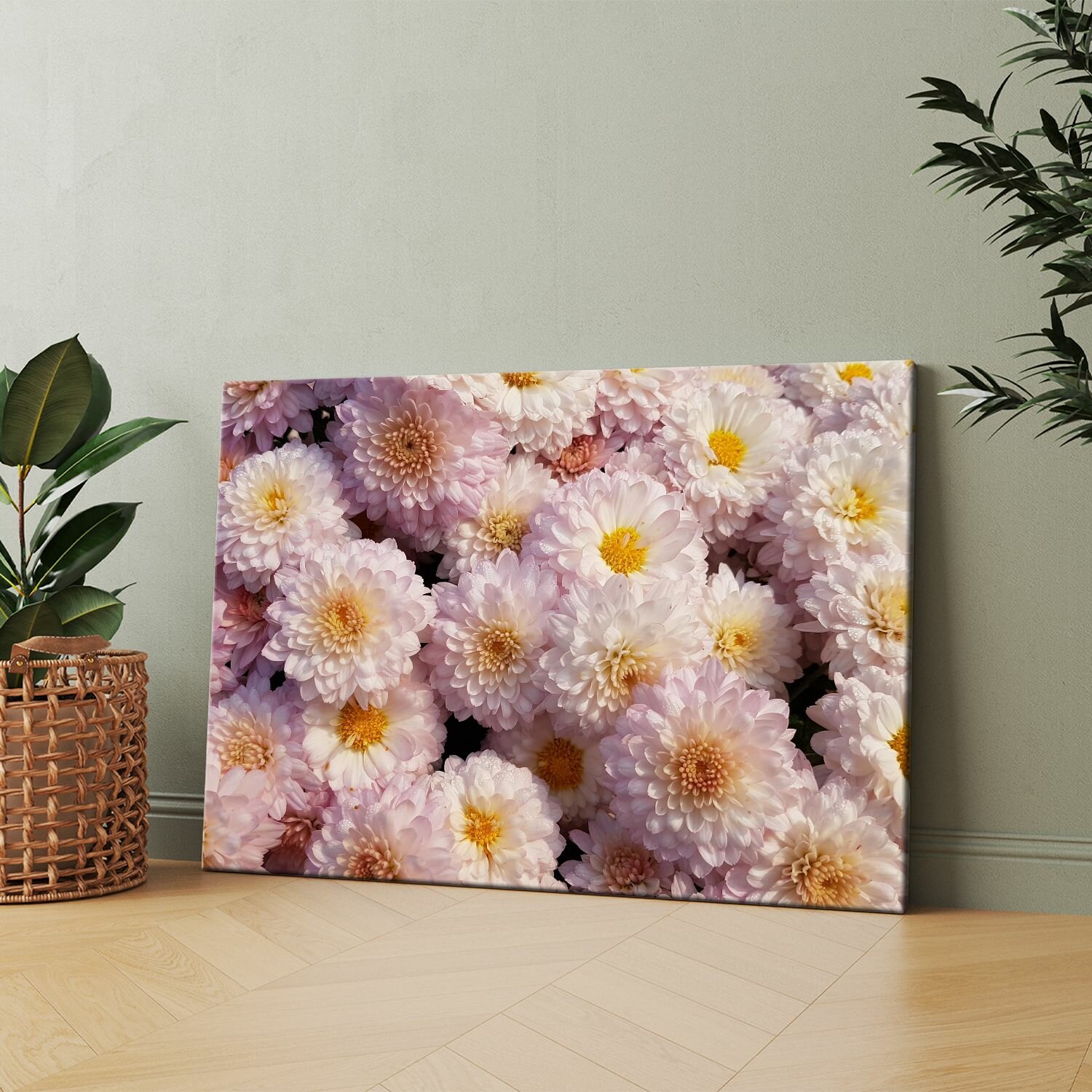 Картина на холсте (Хризантемы красивые цветы крупные) 30x40 см. Интерьерная на стену.