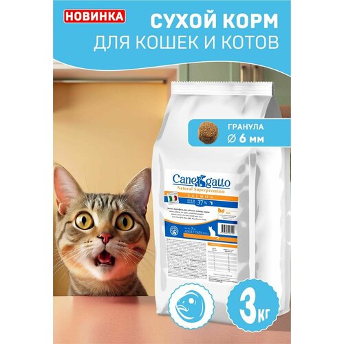 Корм для кошек сухой CANEGATTO, кошачий корм с лососем 3 кг