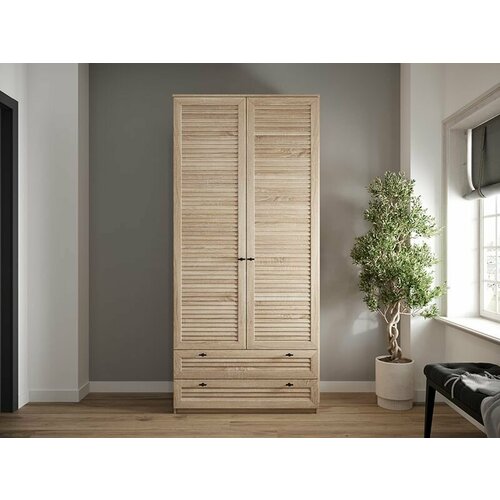 Шкаф распашной для одежды 