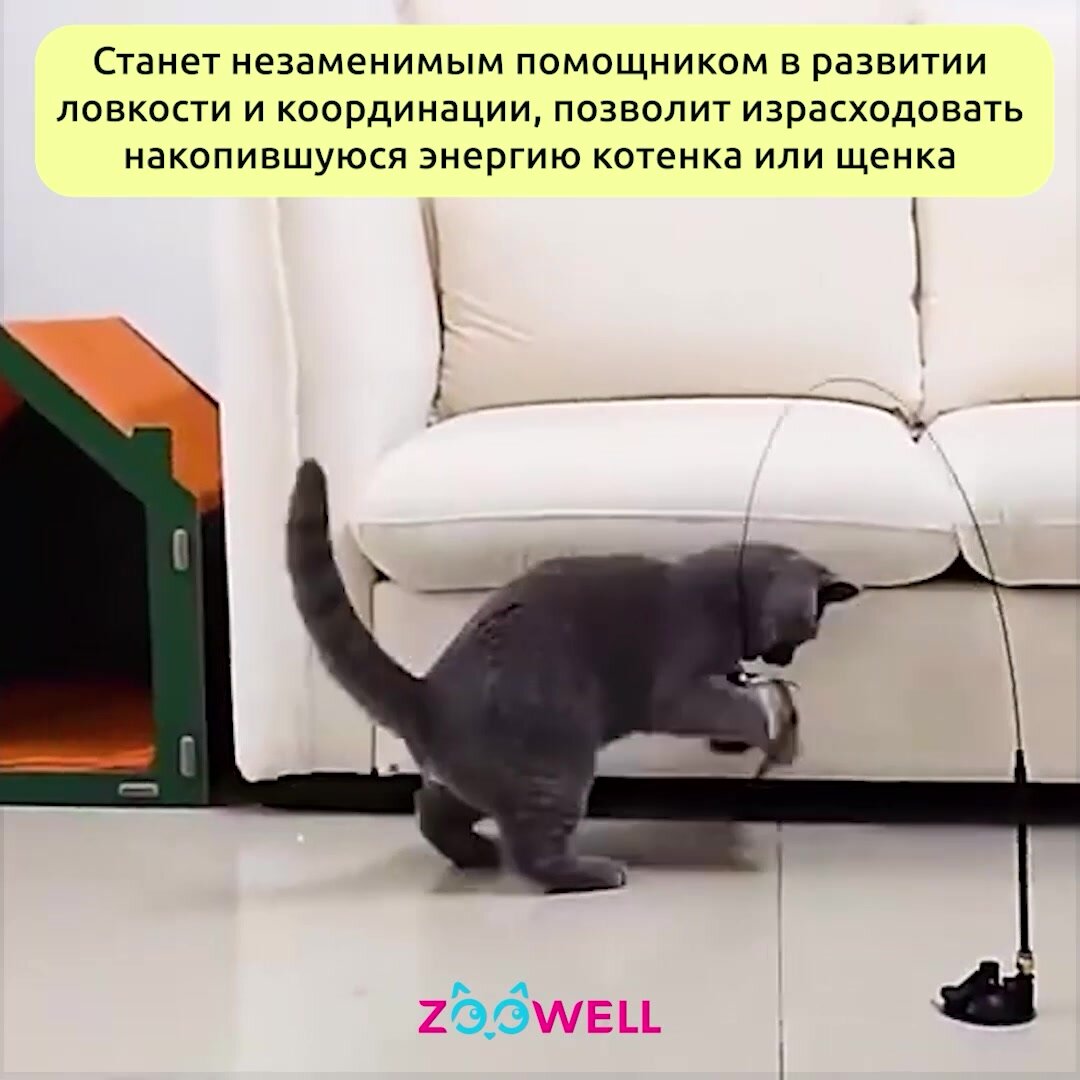 Интерактивная игрушка ZooWell Teaser для кошек и котят, игрушка Удочка с пером на присоске съемная для животных, 280*220*70см — фото 1