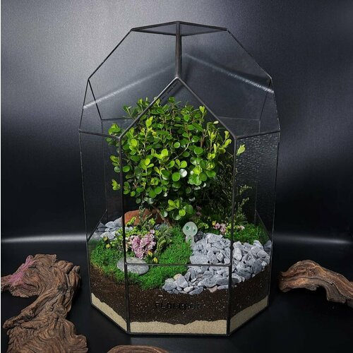 Флорариум с мирсиной африканской от Flolefor 