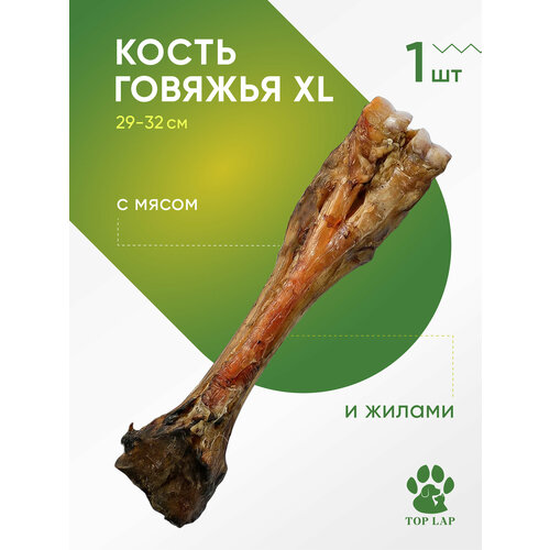 Кость говяжья XL 1 шт, большая кость для собак, лакомство для крупных собак, косточка для чистки зубов собаке
