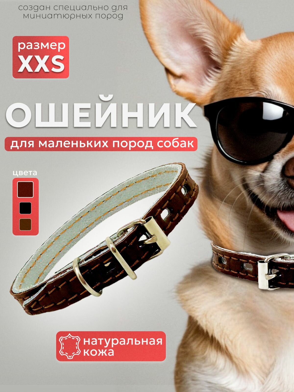 Ошейник для собак мелких пород, натуральная кожа, коричневый — фото 1