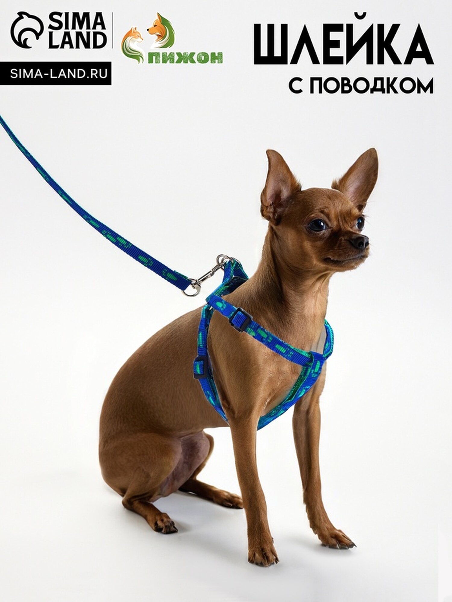 Комплект "Большая лапа", ширина 1 см, поводок 120 см, шлейка 25-36 см, сине-зелёный