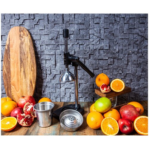 Пресс для цитрусовых и гранатов KALE 1702 550000₽