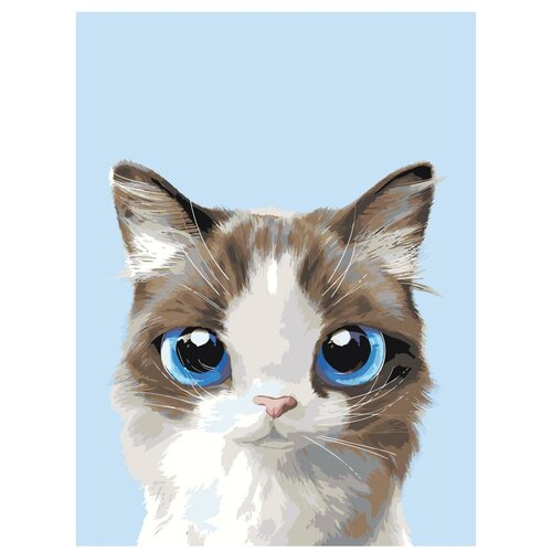 Картина по номерам, Живопись по номерам, 54 x 72, A512, маленький котёнок, большие глаза, животное, портрет, изолированный фон картина по номерам живопись по номерам 54 x 72 a518 рыжий котёнок голубые глаза животное портрет изолированный фон