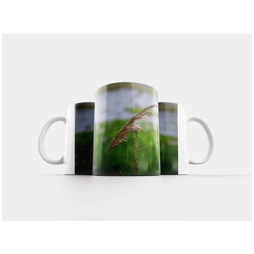 фото Кружка "природа, трава, на открытом воздухе" 320 мл lotsprints