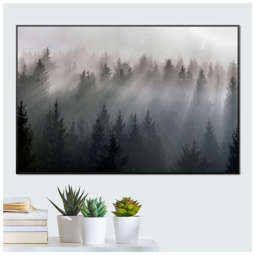 Постер Лучи Солнца Сквозь Туман в Лесу на Рассвете Тип 1 40х30 см в тубусе ПолиЦентр