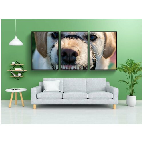 фото Набор модулных постеров для интерьера "labradoodle, собака, лабрадор" 60x90 см. в тубусе, без рамки lotsprints