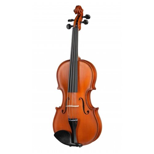 Скрипка Vasile Gliga S-V012