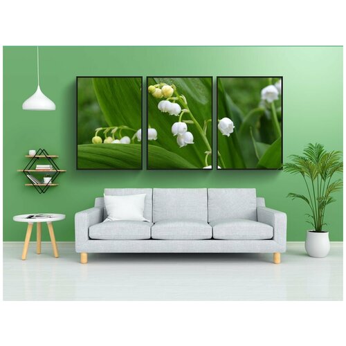 фото Набор модулных постеров для интерьера "ландыш, convallaria majalis, цветок" 60x90 см. в тубусе, без рамки lotsprints