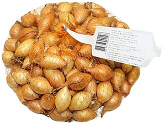 Лук-севок "Штуттгартер Ризен" (14-21 мм, фасовка сетка, 0,5 кг) однородной золотистой расцветки с острыми вкусовыми качествами для посадки в саду