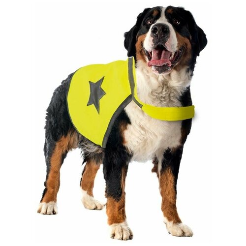 фото Жилет для собак duvo+ светоотражающий, жёлтый, xl (64см) (бельгия)