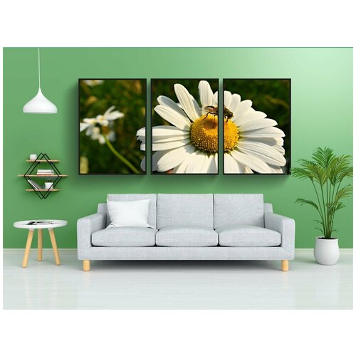 фото Набор модулных постеров для интерьера "воловья маргаритка, цветок, завод" 60x90 см. в тубусе, без рамки lotsprints