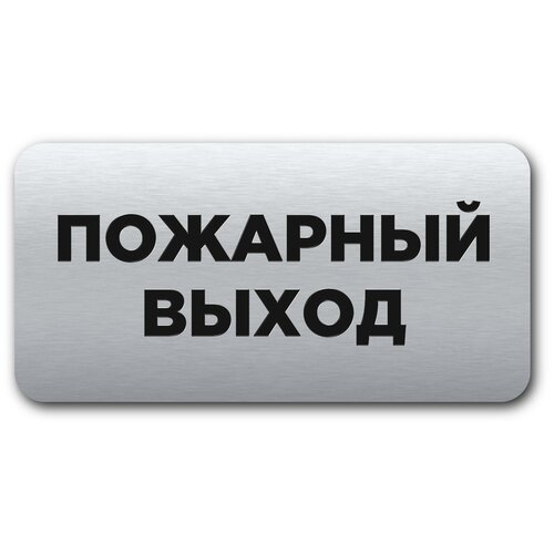 Табличка информационная CVT / Пожарный выход / Размер 120х60мм / Табличка с лазерной гравировкой / Прямоугольная / Серебряная /