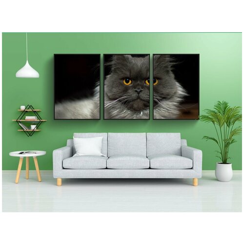 фото Набор модулных постеров для интерьера "кошка, котенок, мяукает" 60x90 см. в тубусе, без рамки lotsprints