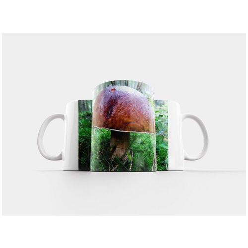 фото Кружка "гриб, падение, природа" 320 мл lotsprints