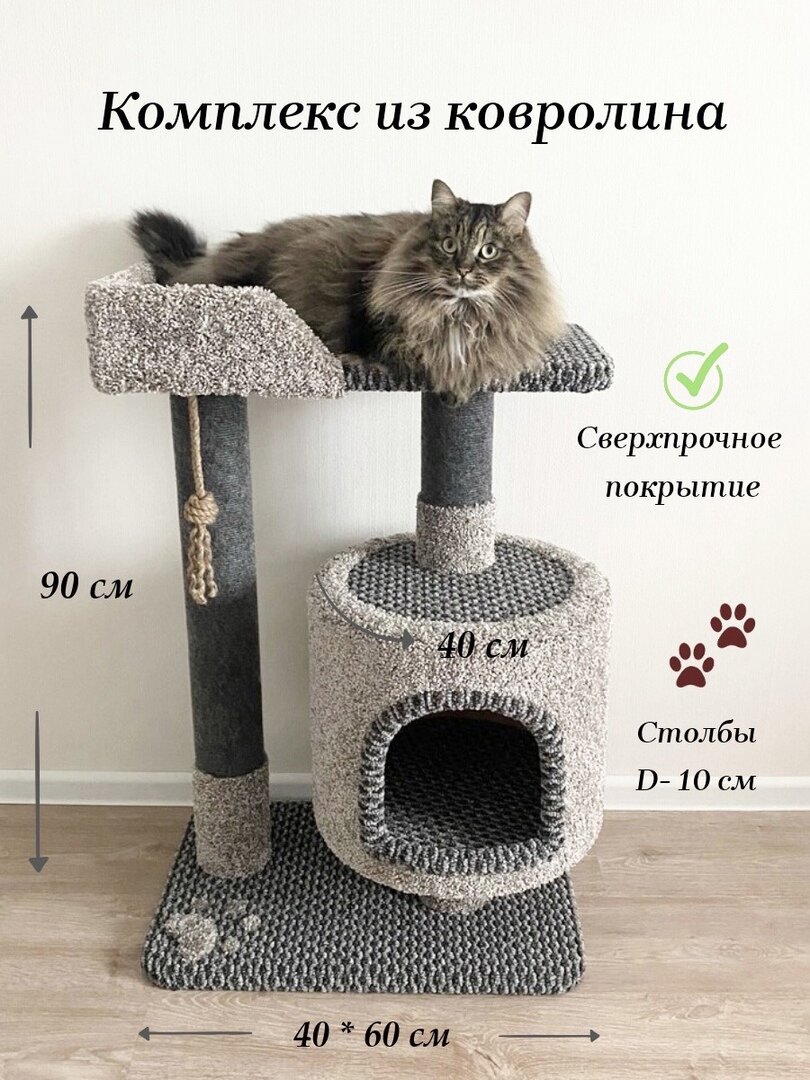 19