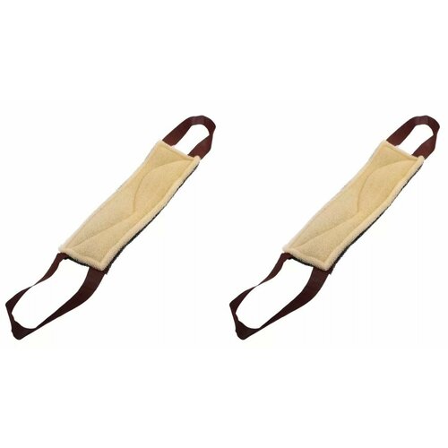 Шахтерская Губка банная День и ночь жесткая - 2 штуки