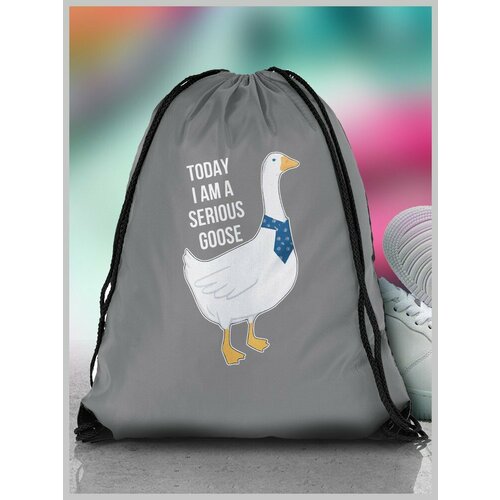 Мешок для сменной обуви ДТФ серый Гусь животные милота кавай - 3019 690₽