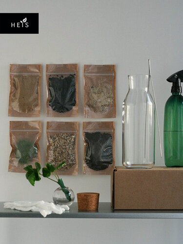 Изображение товара Набор флорариум стеклянный / экосистемы HEIS / кофейное дерево