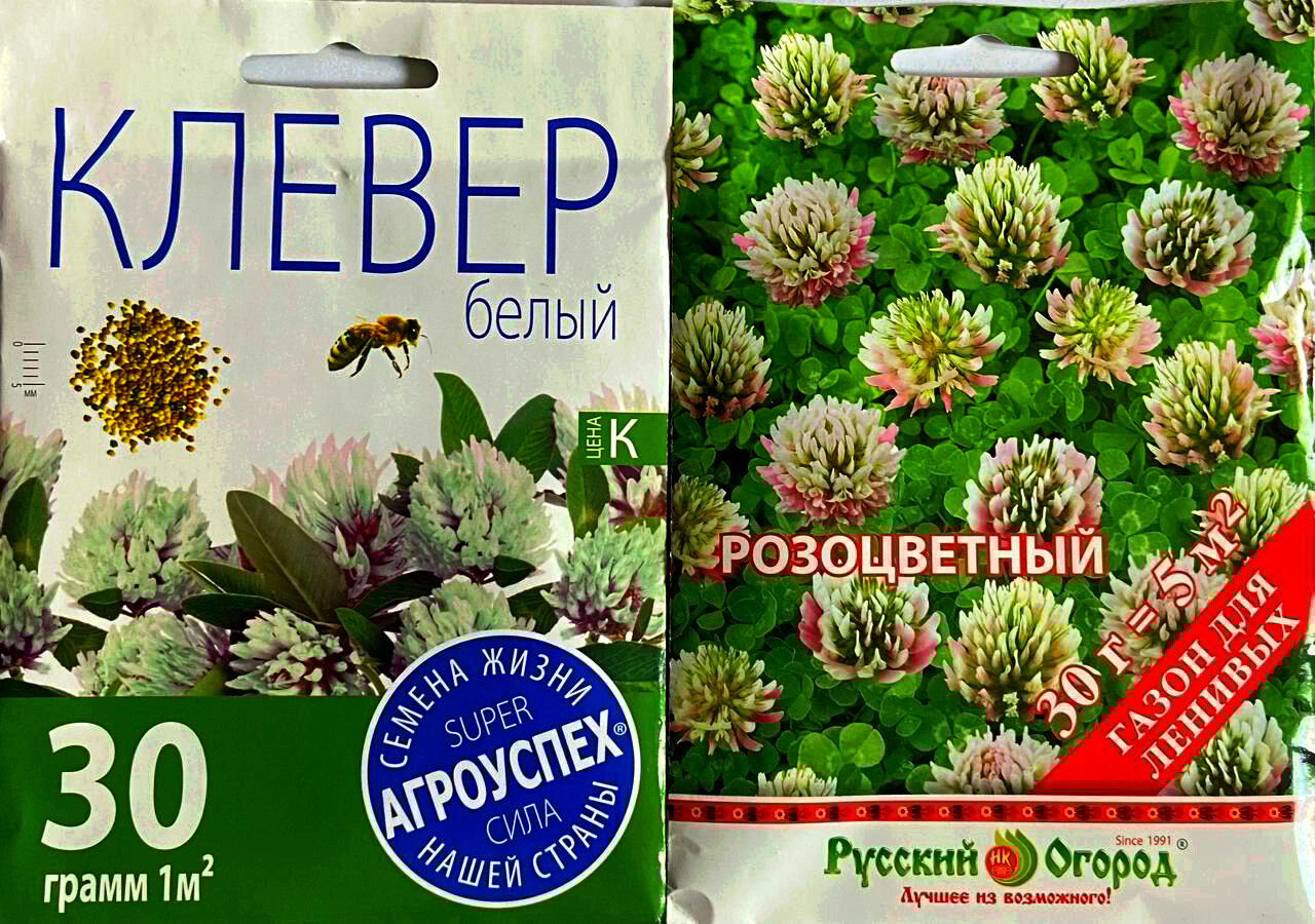 Семена клевера белый и розовый, 2 упаковки по 30 грамм LETTO Русский огород