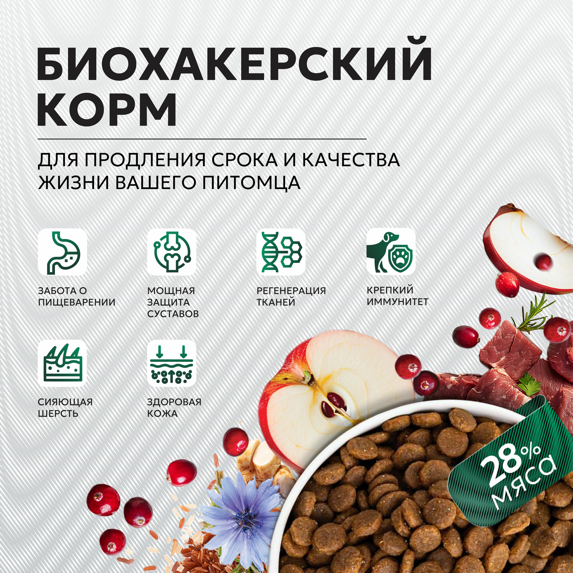 Just Dog сухой корм для собак, полнорационный, с ягненком, рисом, клюквой, яблоком и шиповником - 1,2 кг — фото 1