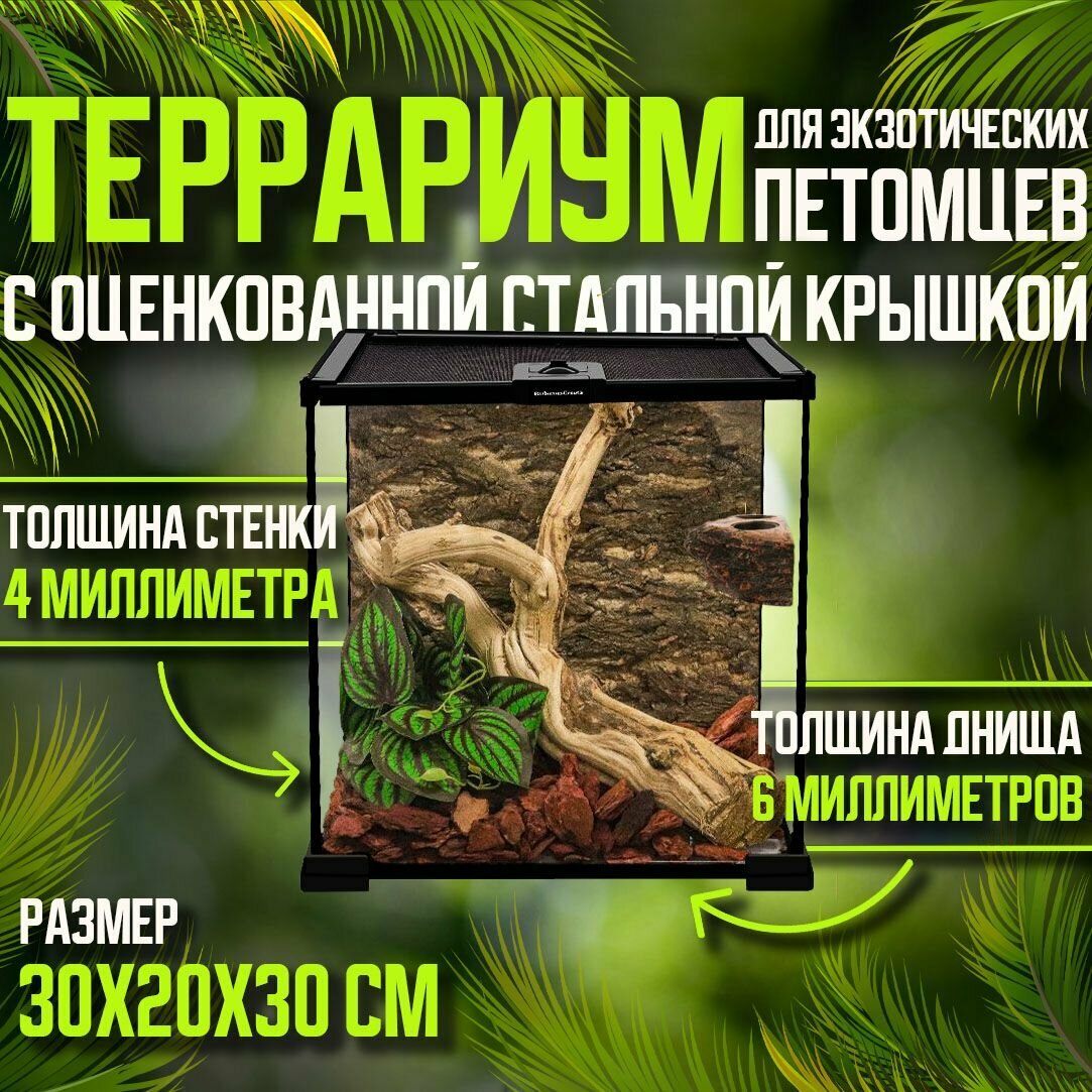 Террариум стеклянный с крышкой,30X20X30CM