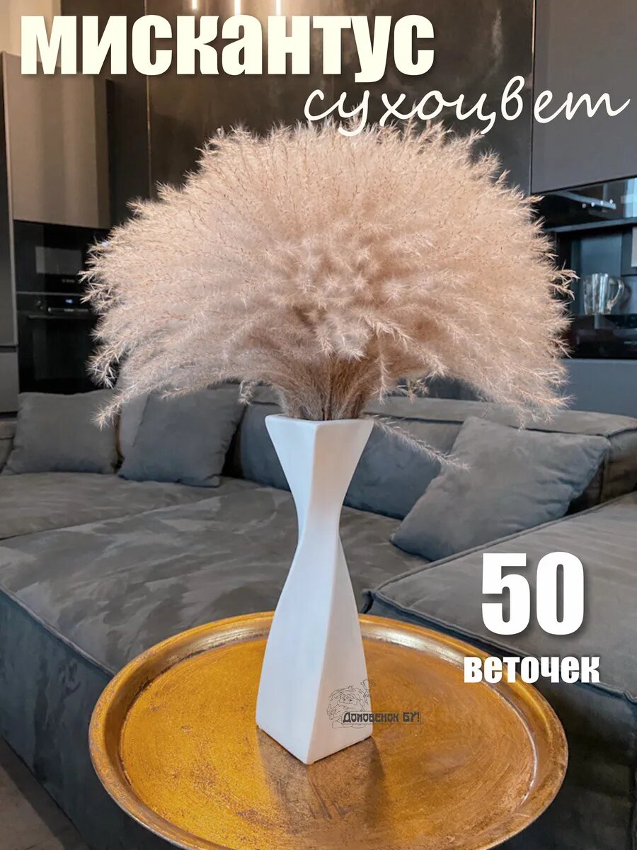 Сухоцветы для декора пампасная трава Мискантус