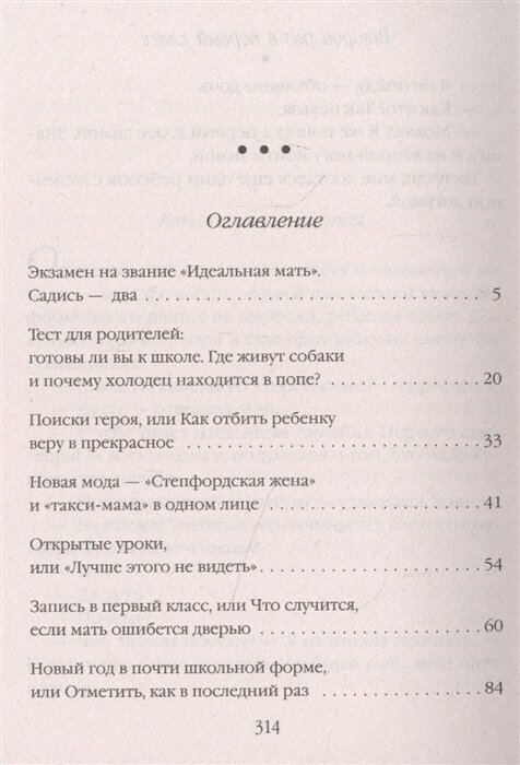 Второй раз в первый класс (Трауб Маша) - фото №13