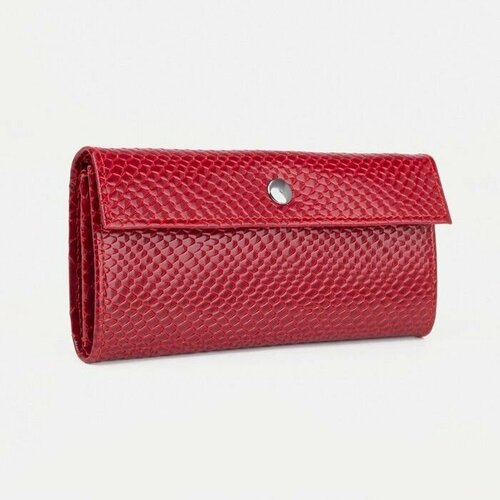 Кошелек CAIMAN, красный