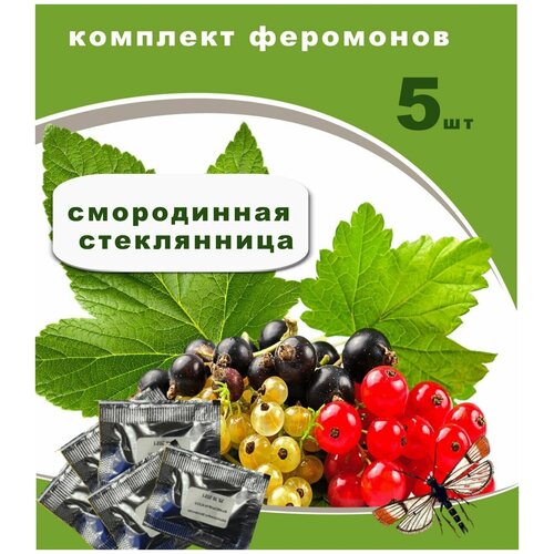 Смородинная стеклянница феромоны 5 штук Сельпо