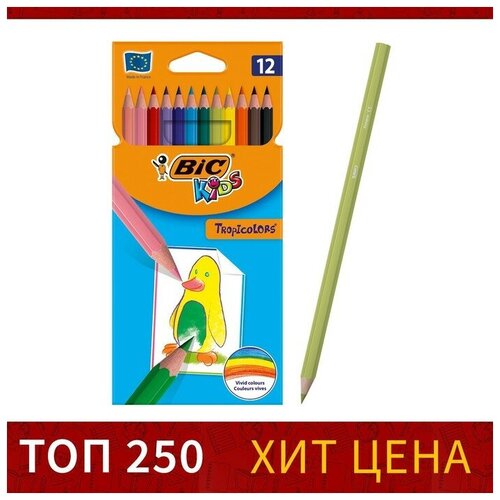 Карандаши 12 цветов, детские, шестигранные, BIC Kids Tropicolors, пластиковые, ударопрочный грифель 3.2мм, картонная упаковка карандаши цветные bic kids tropicolors 18 цветов