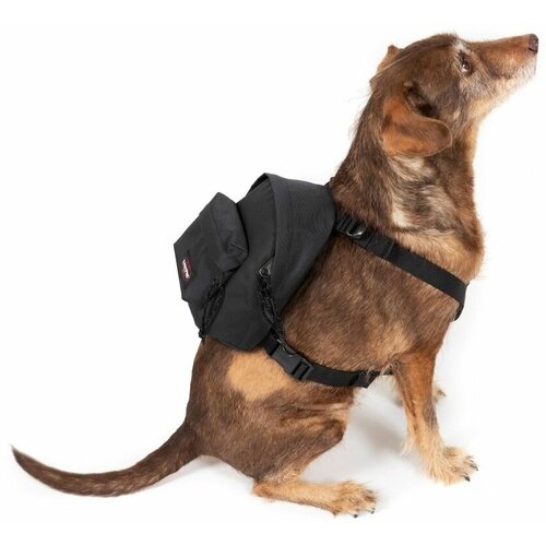 Eastpak-Рюкзак DOG PAK'R Black