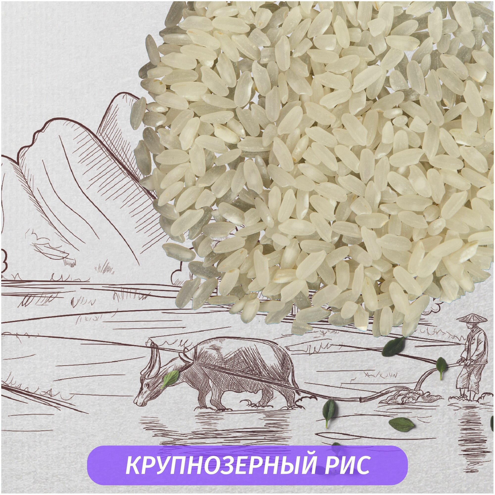 Рис Бальдо шлифованный для ризотто и гарниров Рисовый Король - 6 кг, без глютена, крупнозерный, качество ГОСТ, постный продукт - фотография № 4