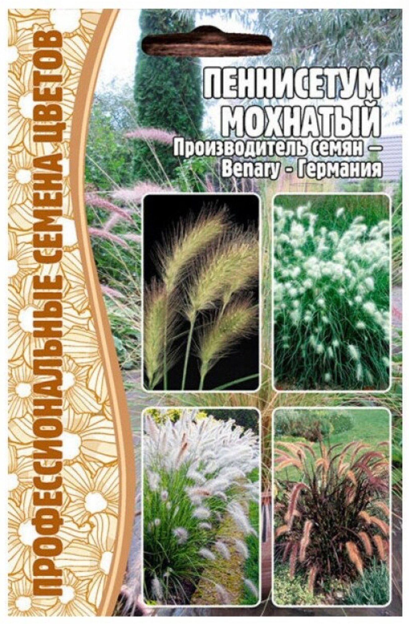 Семена Пеннисетума Мохнатого (10 семян)