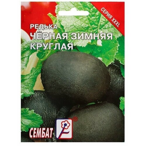 Семена ХХХL Редька Зимняя круглая черная, 10 г 3 упаковки
